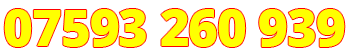 Call Us Today 07593260939
